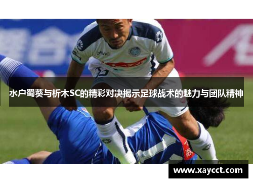 水户蜀葵与析木SC的精彩对决揭示足球战术的魅力与团队精神