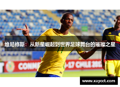 维尼修斯：从新星崛起到世界足球舞台的璀璨之星